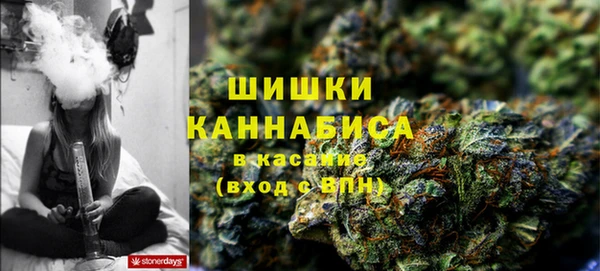 спайс Верея
