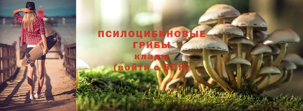сатива Волосово