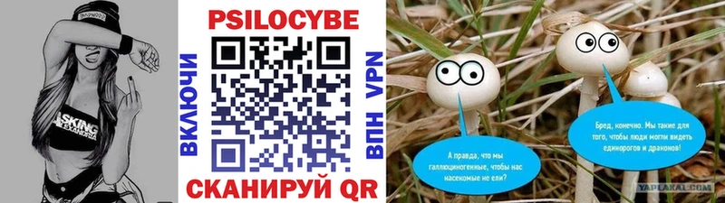 Купить где  Отрадное  Галлюциногенные грибы Psilocybe 